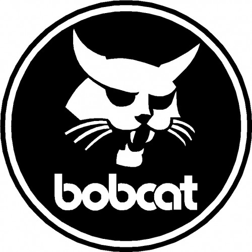 Bobcat